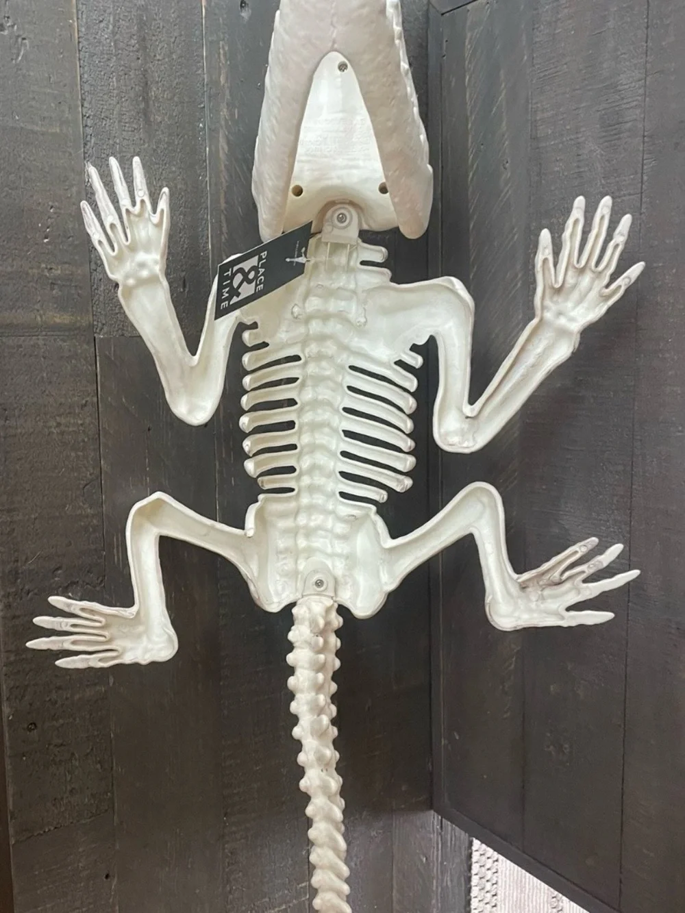 Crazy bonez white reptile